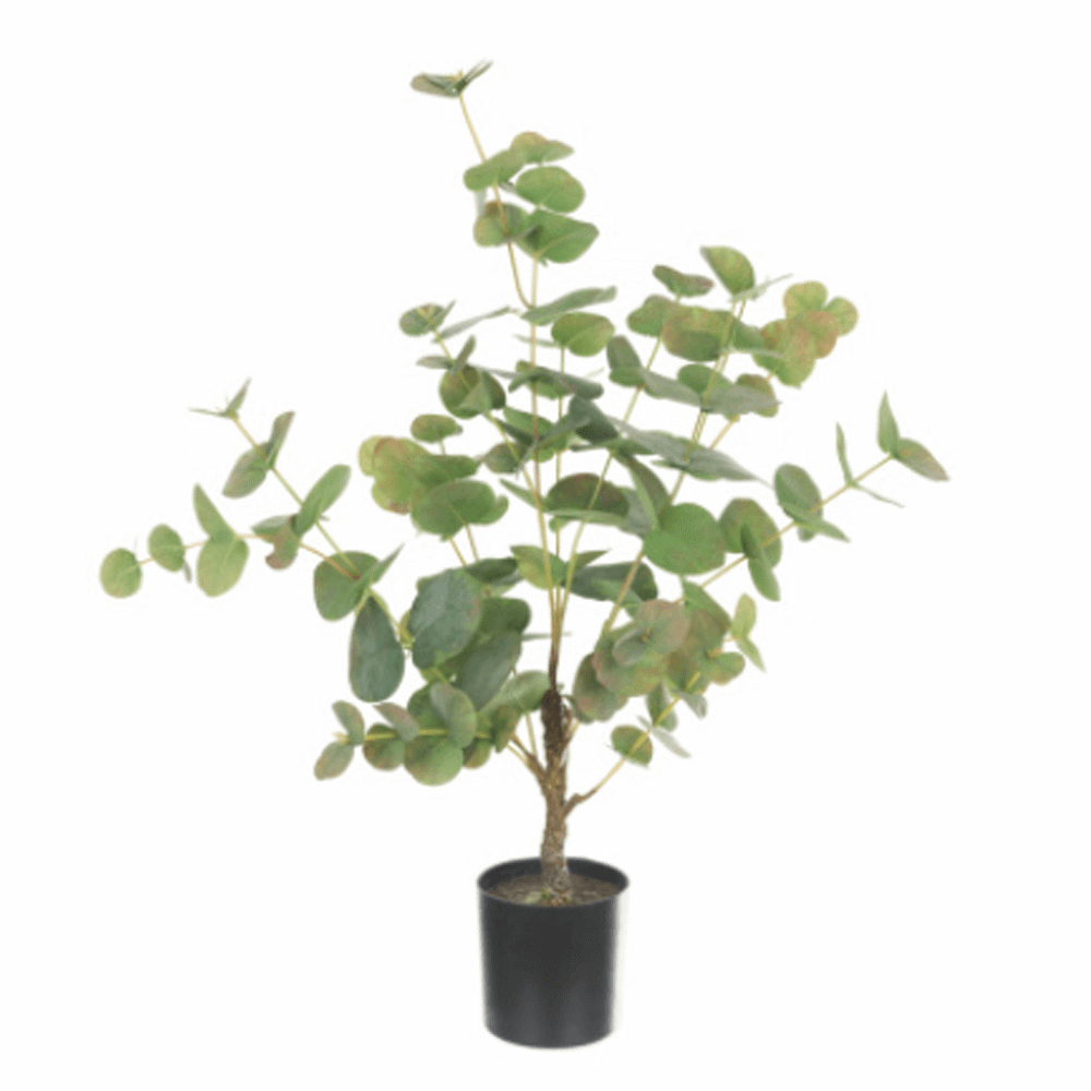 Floralsilk Eucalyptus Artificial Tree In Pot